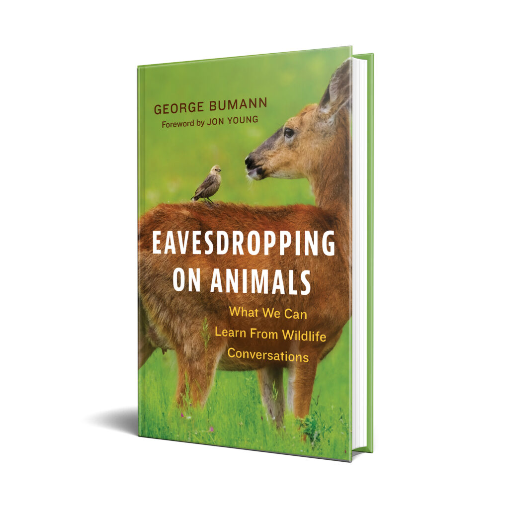 Eavesdropping on Animals Book Cover George Bumann 1